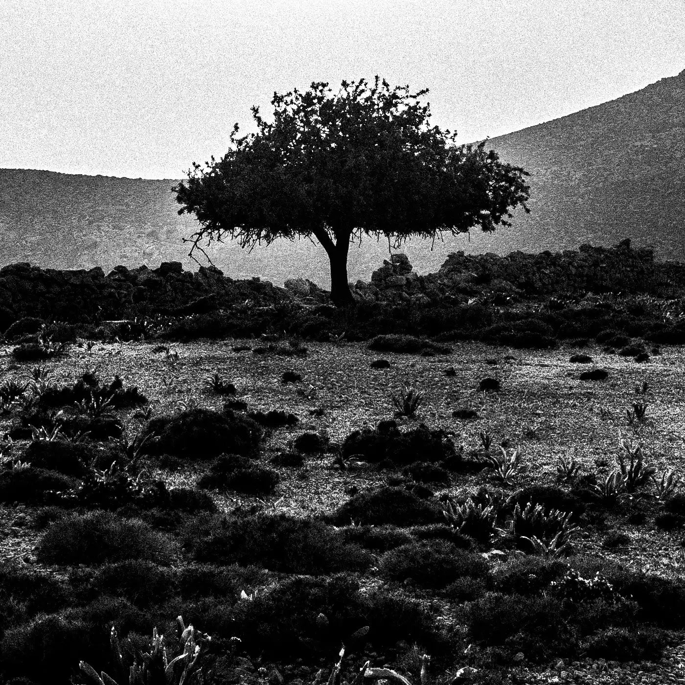 Black and White Photography Wall Art Greece | Landscape in Tilos island Dodecanese Greece by George Tatakis - detailed view