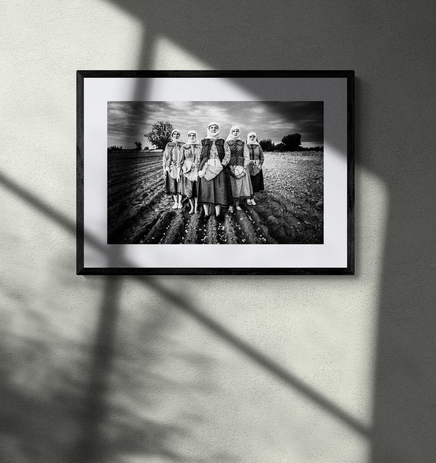 Black and White Photography Wall Art Greece | Garlic field Vyssa Thrace by George Tatakis - single framed photo