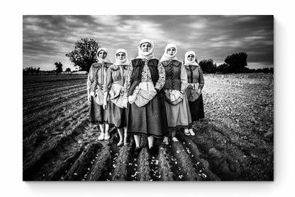 Black and White Photography Wall Art Greece | Garlic field Vyssa Thrace by George Tatakis - whole photo