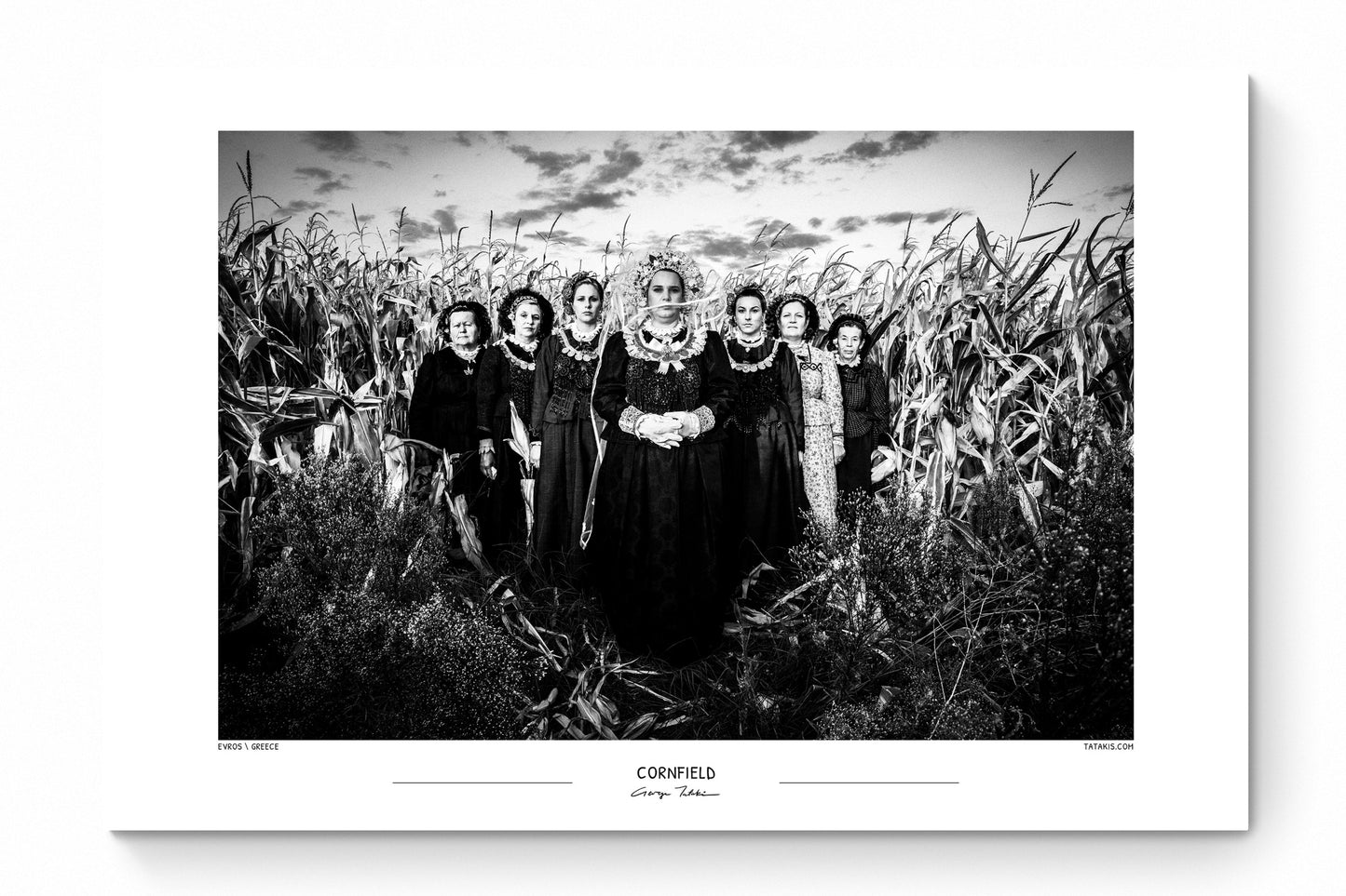 Black and White Photo Wall Art Poster from Greece | Costumes in a Cornfield, Nea Vyssa, Evros, Thrace, by George Tatakis - whole poster