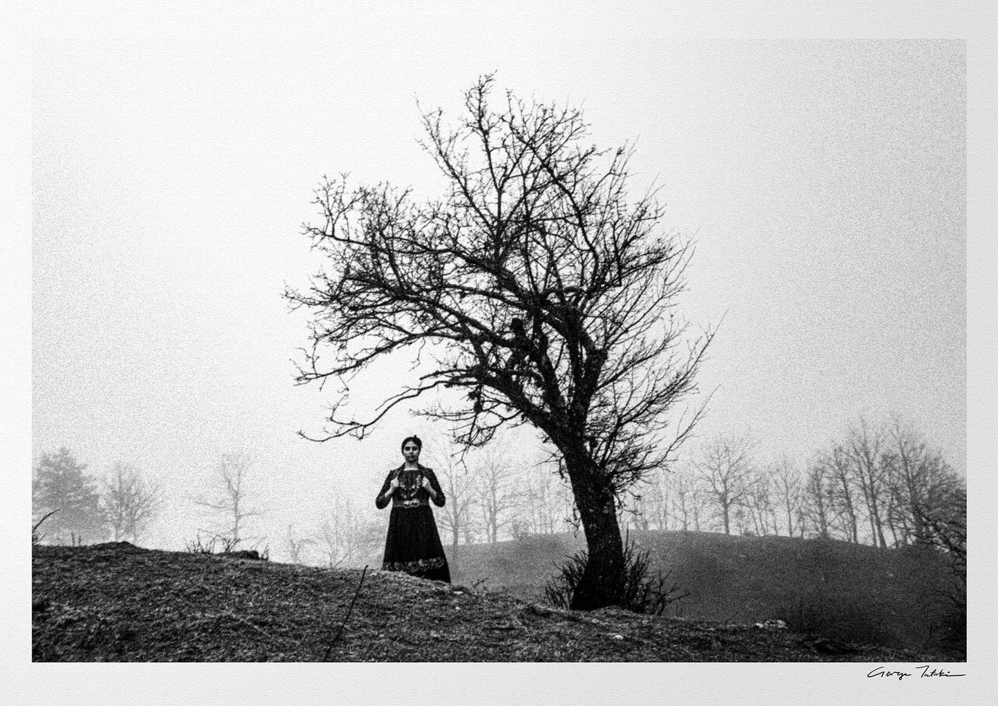 Kerasovo, Konitsa, Epirus, Greece | A Single Tree | Black-and-White Wall Art Photography