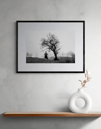 Kerasovo, Konitsa, Epirus, Greece | A Single Tree | Black-and-White Wall Art Photography - single framed