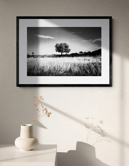 Black and White Photography Wall Art Greece | Field in Geraki village with a tree Lakonia Peloponnese by George Tatakis - single framed photo