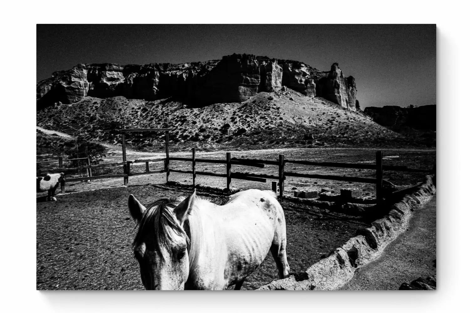 Horse and Rock | Santorini | Chorōs | Black-and-white wall art photography from Greece - whole photo