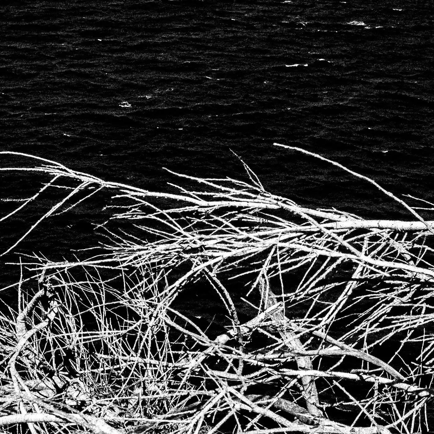 Sea Branches | Santorini | Chorōs | Black-and-white wall art photography from Greece - detailed view
