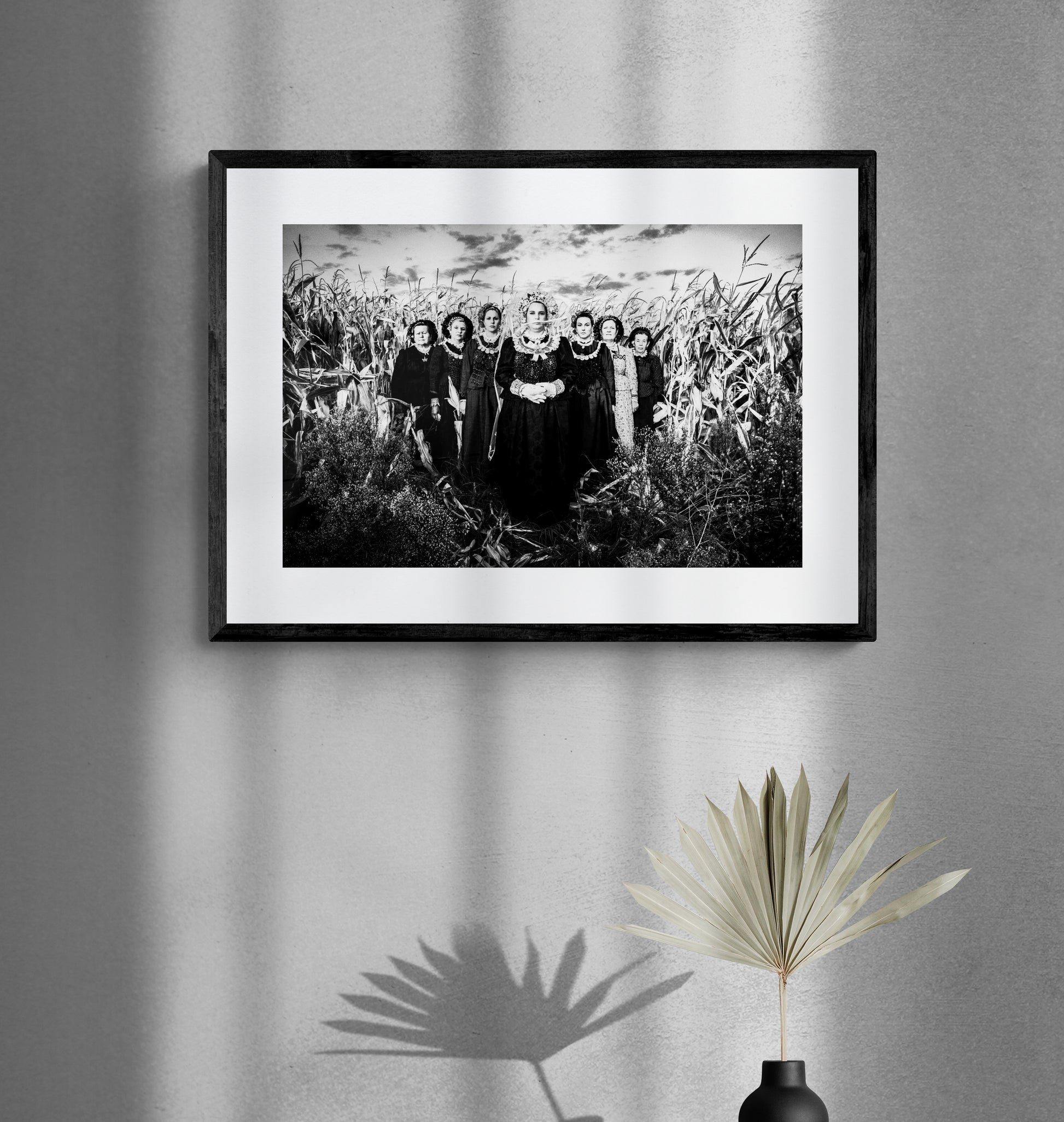 Black and White Photography Wall Art Greece | Cornfield Vyssa Thrace by George Tatakis - single framed photo