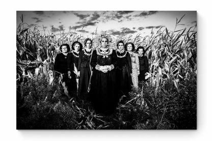 Black and White Photography Wall Art Greece | Cornfield Vyssa Thrace by George Tatakis - whole photo