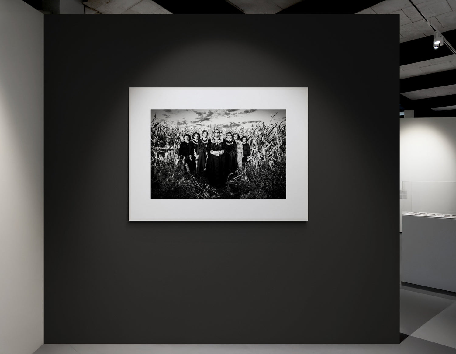 Black and White Photography Wall Art from Greece, by George Tatakis. Cornfield in Nea Vyssa, Evros, Thrace.
