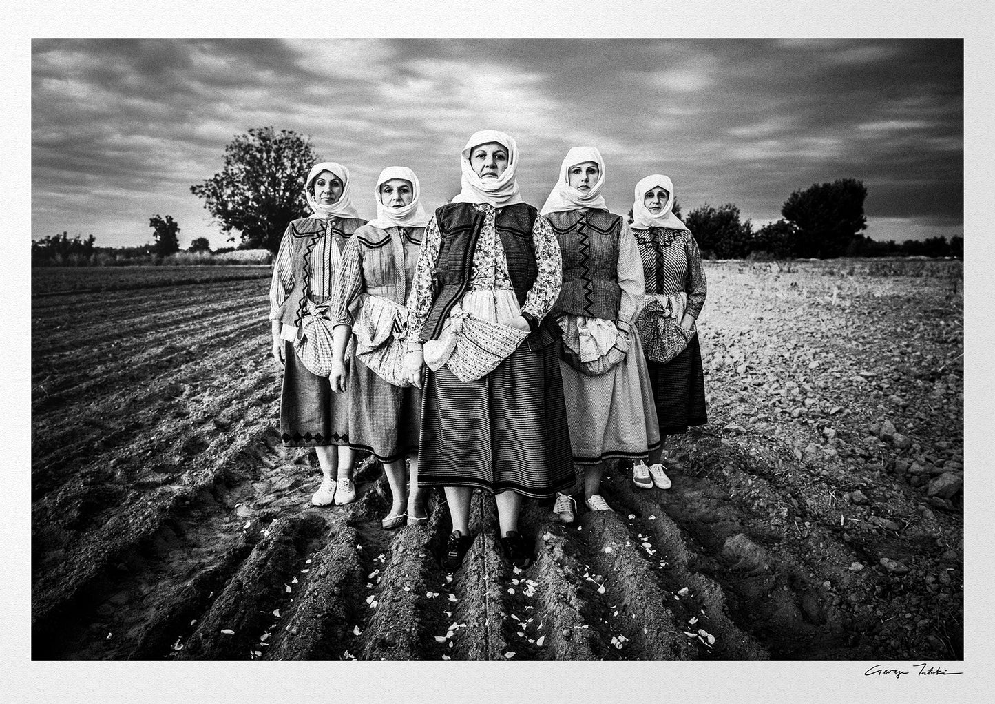 Black and White Photography Wall Art Greece | Garlic field Vyssa Thrace by George Tatakis