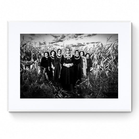 Black and White Photography Wall Art Greece | Limited Edition numbered signed. Cornfield Thrace.