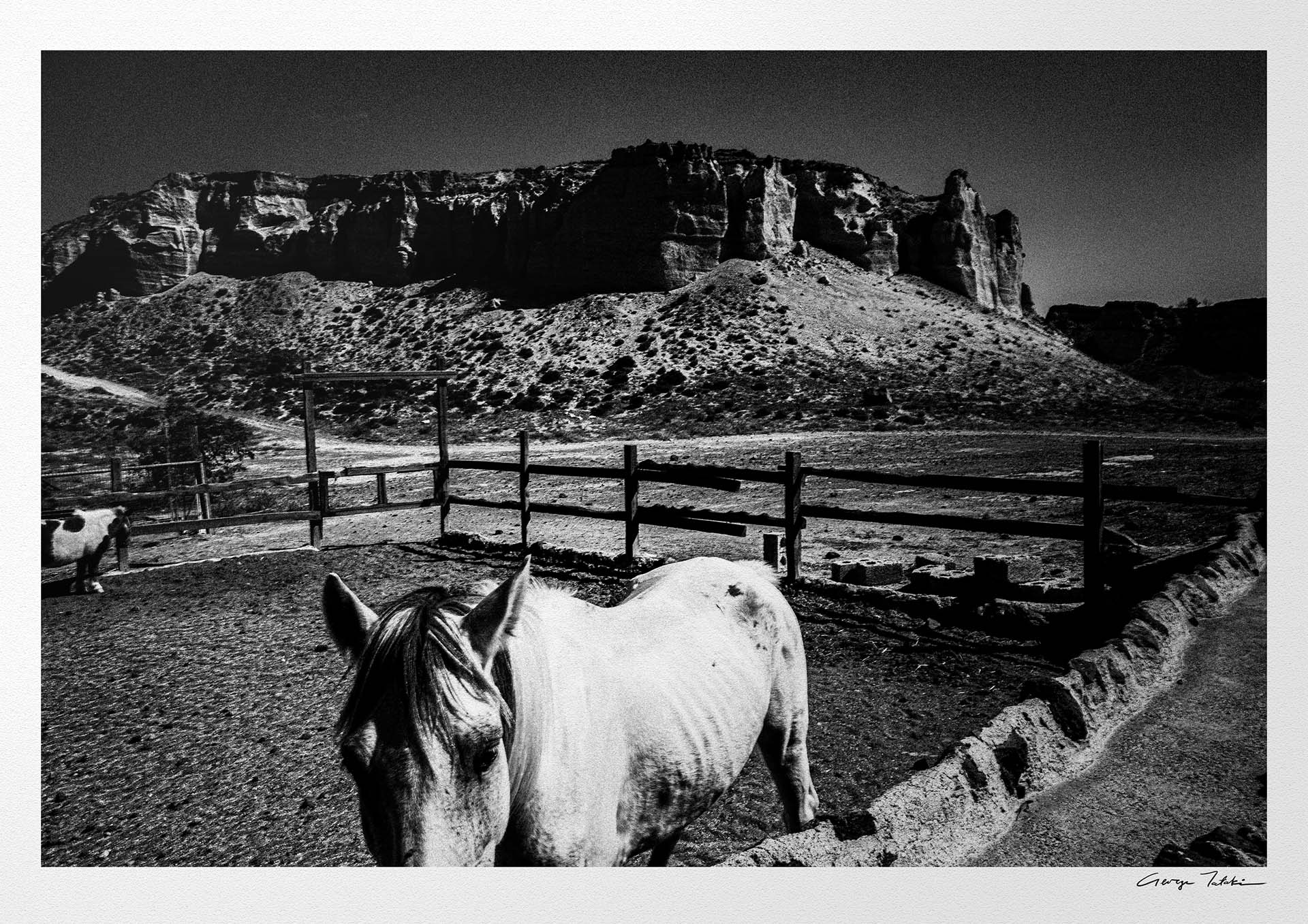 Horse and Rock | Santorini | Chorōs | Black-and-white wall art photography from Greece