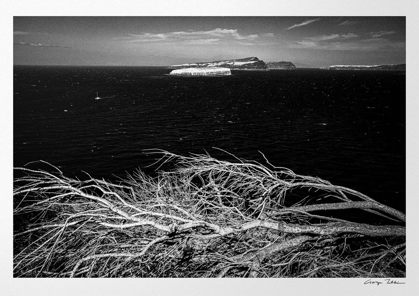 Sea Branches | Santorini | Chorōs | Black-and-white wall art photography from Greece