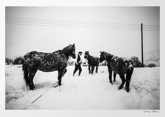 Black and White Photography Wall Art Greece | Horses in Volax Drama by George Tatakis